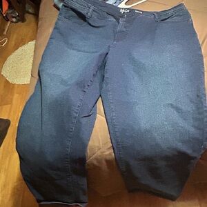 Style & Co. Women's Dark Blue Skinny Jeans